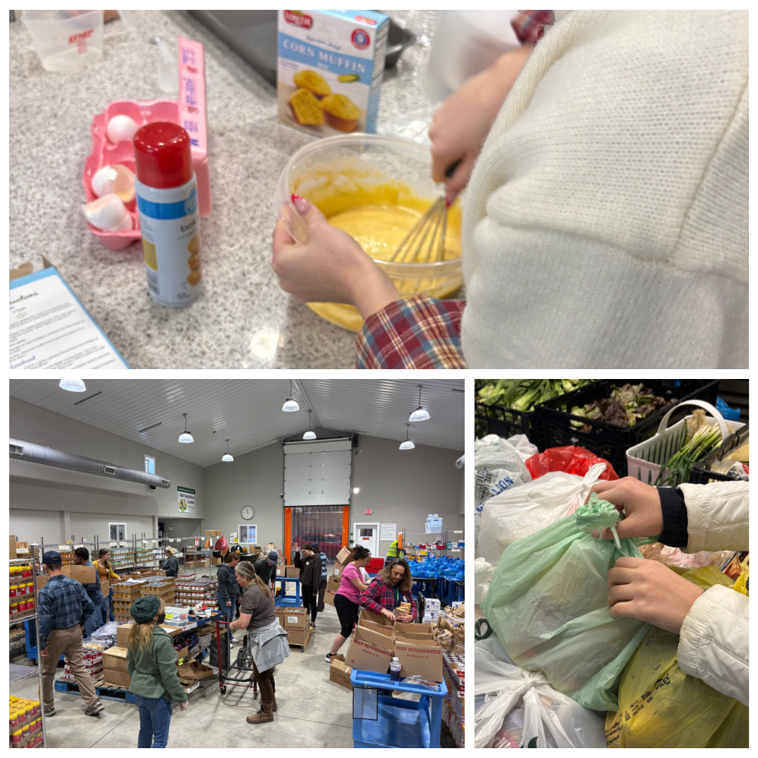Collage of photos from the most recent service opportunity at Feeding Avery Families.