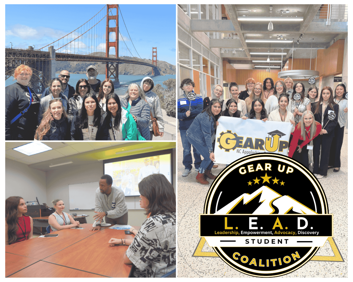 lead_collage.png